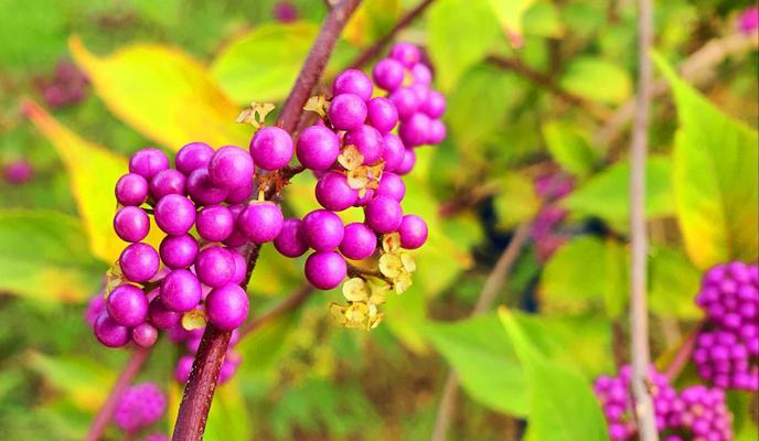 Bitrix 157566: photo_2024_08_29_16_51_57.jpg