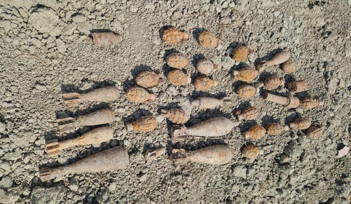 Bitrix 157843: photo_2024_09_04_11_14_12.jpg