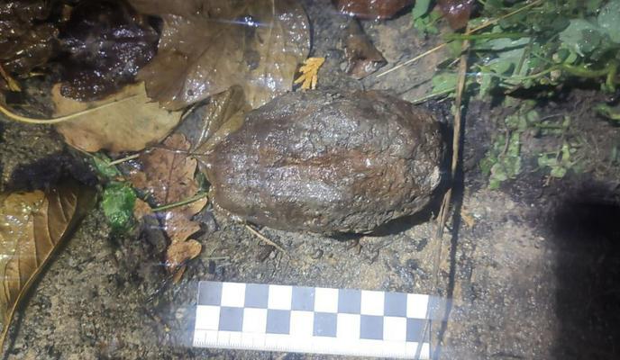 Bitrix 161972: photo_2024_11_19_09_43_31.jpg