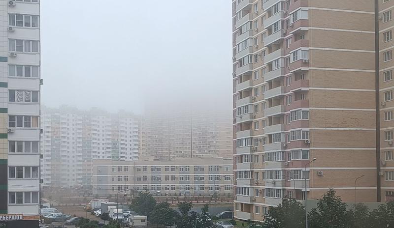 Bitrix 162044: photo_2024_11_20_09_56_53.jpg