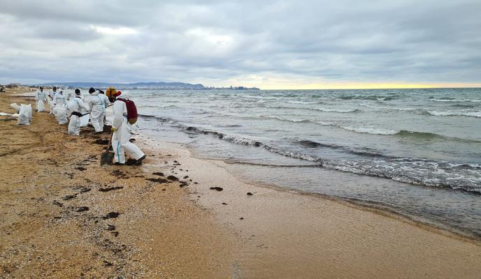 Bitrix 166578: photo_2025_02_13_17_35_31-_3_.jpg