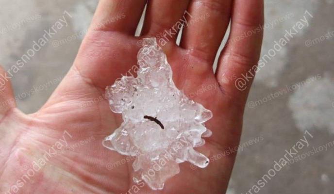 Bitrix 172947: photo_2025_06_12_17_22_46.jpg