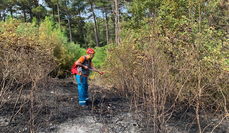 Bitrix 154490: photo_5215425474283561128_w.jpg