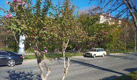 Bitrix 149229: photo_5222313558149289795_m.jpg