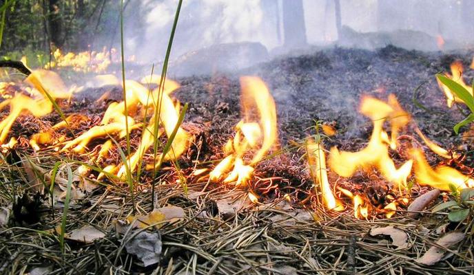 Bitrix 154879: photo_5228783303610459133_x.jpg