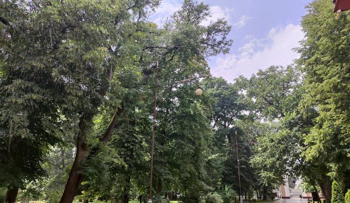 Bitrix 149619: photo_5240097278260271278_y.jpg