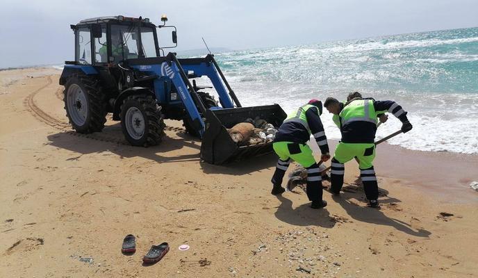 Bitrix 150138: photo_5263001866403437142_y.jpg