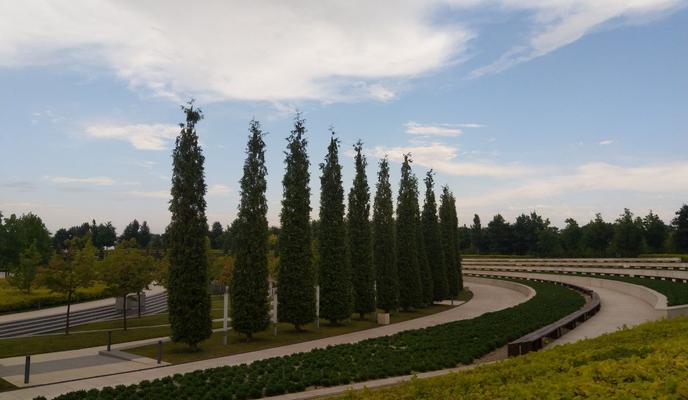 Bitrix 151411: photo_5346037405439876864_y.jpg