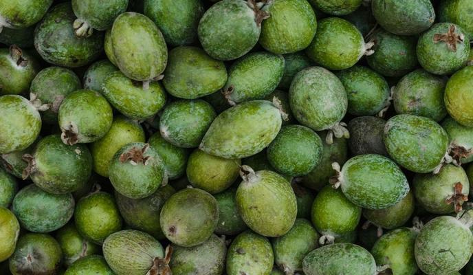 Bitrix 152094: photo_5379559358897184466_y.jpg