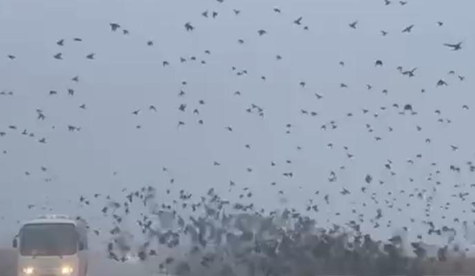 Bitrix 130010: pl_BhHS4hvC96BWkYWD2B4tK1j0cYhND2SK5vCLRo4RFvrOskuxX_MVW6Rd2oC0AY6CIq_Kt852YB70SeWcXxuwR.jpg