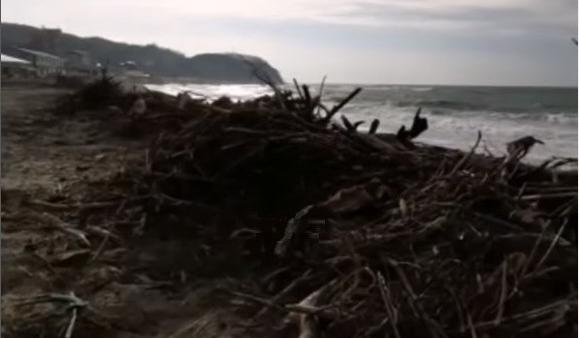 Bitrix 113548: plyazh-s-musorom.jpg