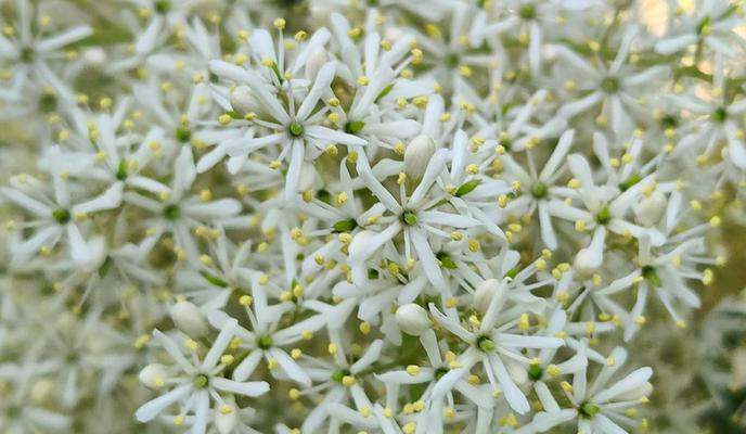 Bitrix 155164: pxgn9jspcvb7g0rhisoa4smmkidlmcpj.jpeg