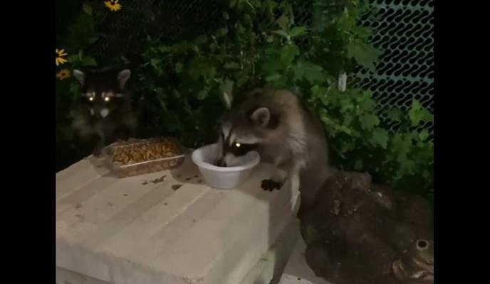 Bitrix 103867: qCS4QpsqbHs.jpg