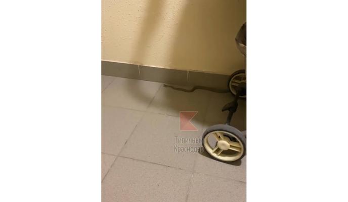 Bitrix 118846: qExHjzq6KGlqL58k2vKHh7wyAOJO_dwZcVcjHg_80bm52DfNgQ_dVf3XXxP_C0Z06rJdW0PRTioQ00rmJrjpQO.jpg