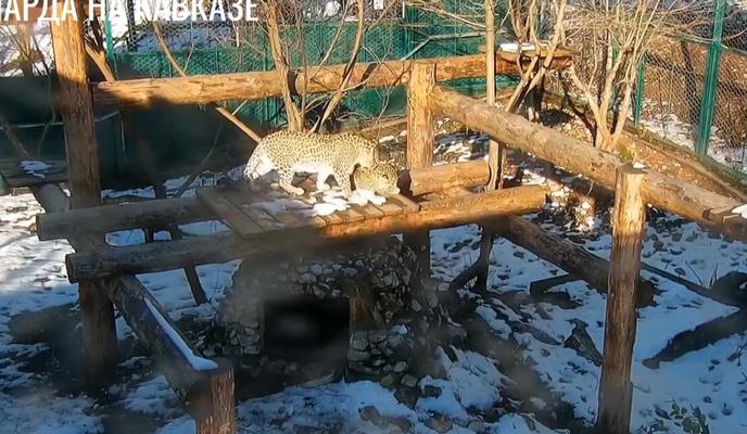 Bitrix 145588: qX_Xgm5Flzk.jpg