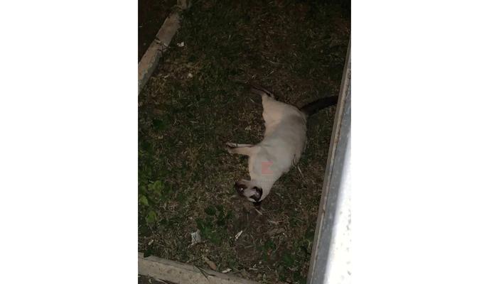 Bitrix 118674: rFyUJNwqvCwJ5ggwFUOmyCbFgEi13VyUsc6wJBgfFgd0r6h67hH80jTA1ytaWZK3XiWTUe0QfUO5ad9keDQXsX58.jpg