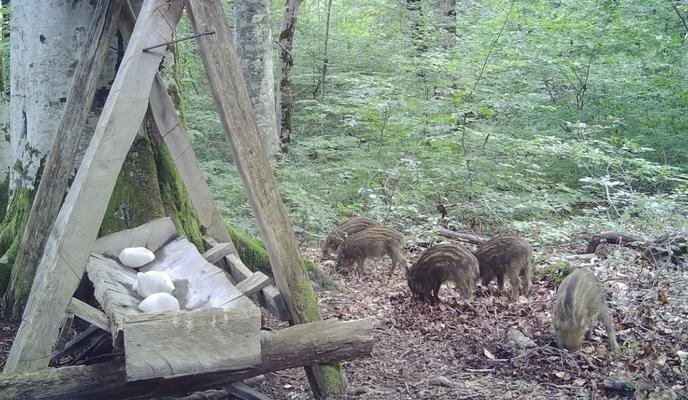 Bitrix 120041: rcj7d9e_8jlESj24AfCYuUcV_kGZcyK9fvvMm8OTEEXt9bSaQdUsyR_Gq0KktZficwWdopoQ0gYz6G_3RZV0NsLQ.jpg