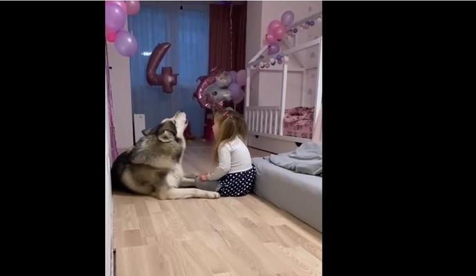 Bitrix 113562: rebenok-vot-s-khaski.jpg