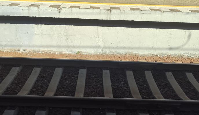 Bitrix 145343: relsy.jpg