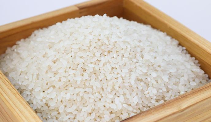 Bitrix 118486: rice_3997767_1920.jpg