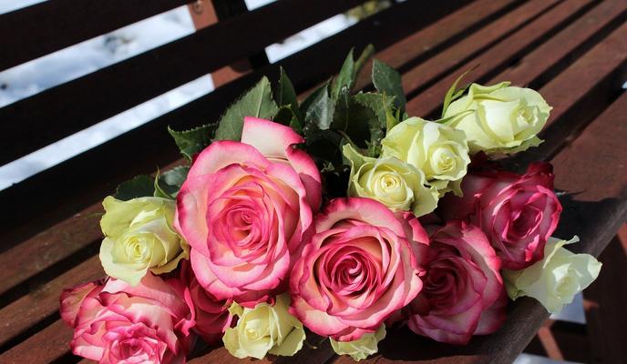 Bitrix 89154: roses_1246490_1280.jpg