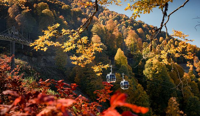 Bitrix 125632: roza.jpg