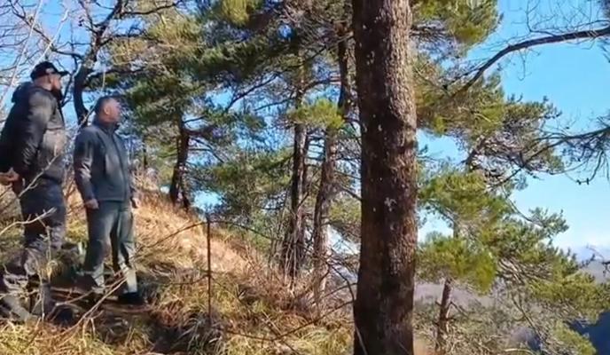 Bitrix 112995: rxxTrPkFM_8.jpg