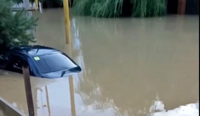 Bitrix 99087: s9_K1jkn75c.jpg