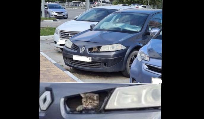 Bitrix 105097: sFCAXkIblZA.jpg