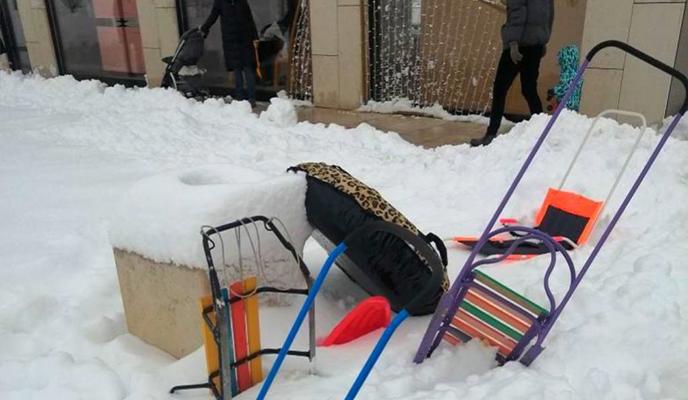 Bitrix 129510: sanki.jpg