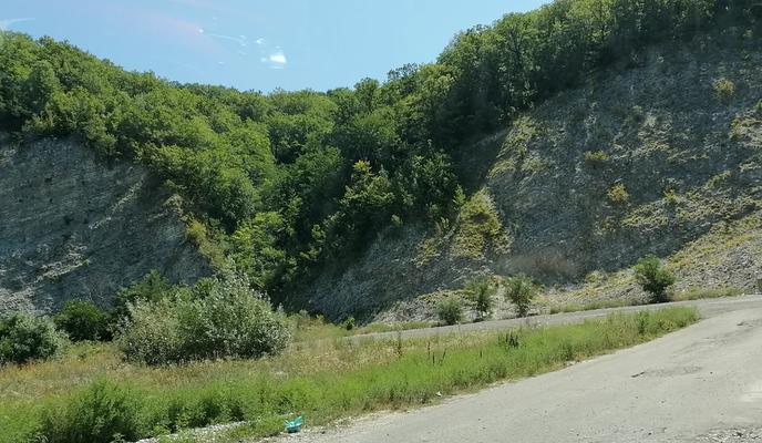 Bitrix 99579: scale_1200-_10_.webp