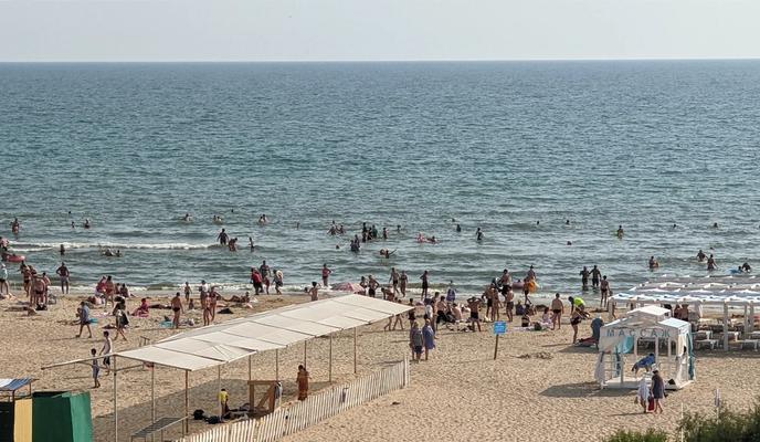 Bitrix 100896: scale_1200-_12_.webp