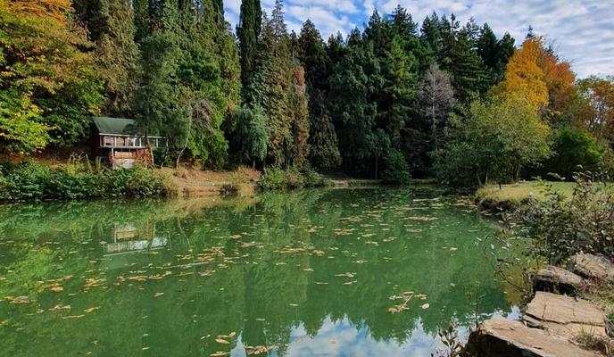 Bitrix 98408: scale_1200-_5_.webp