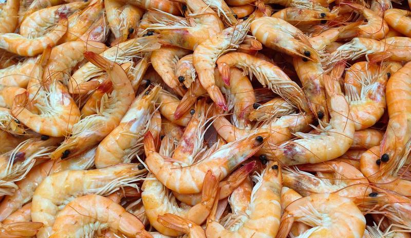 Bitrix 99740: shrimp_727214_1920.jpg