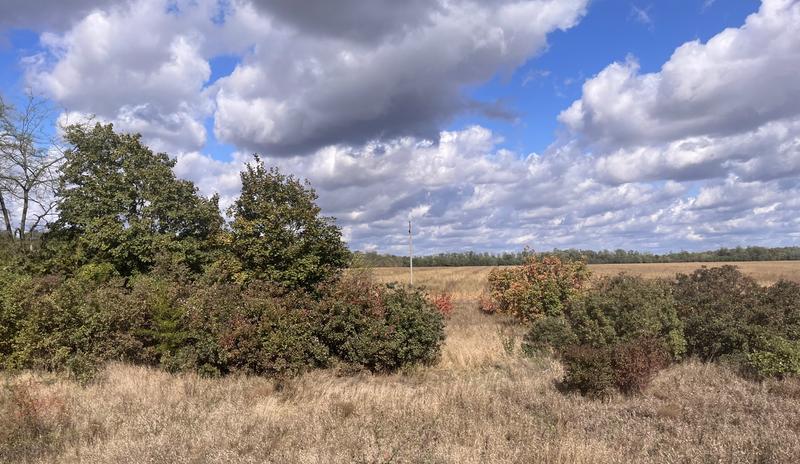Bitrix 137457: shtormovoe_preduprezhdenie_po_formirovaniyu_smerchey_nad_morem_na_territorii_krasnodarskogo_kraya_16950377392395750078_2000x2000_watermark.jpg