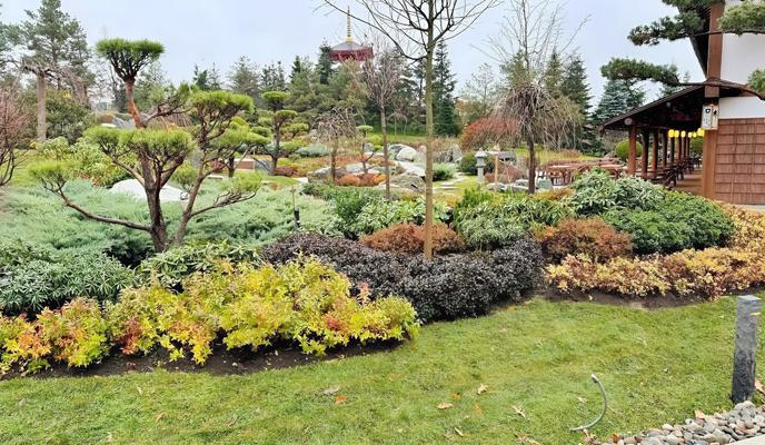 Bitrix 162565: snapedit_1732786537624.jpeg