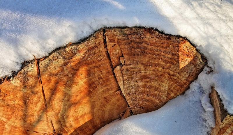 Bitrix 111942: snow_g8dc03bcec_1280.jpg