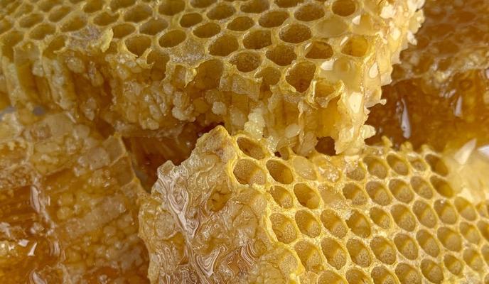 Bitrix 100243: soty.jpeg