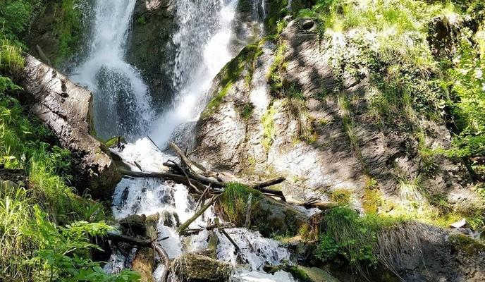 Bitrix 134078: spasateli.jpg