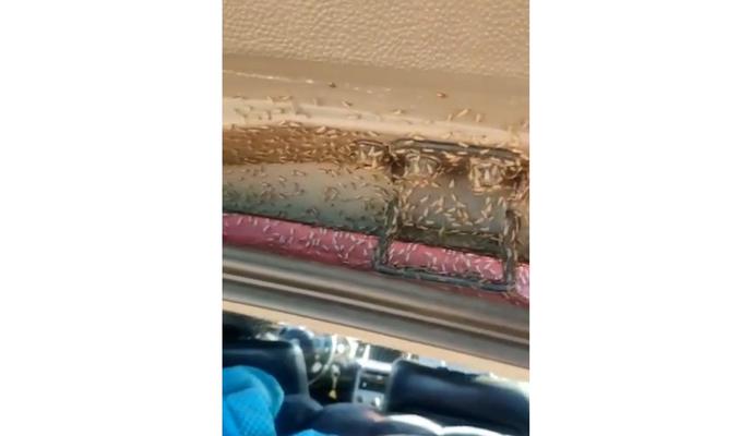 Bitrix 120323: srsv_vaBcbrJzuRSjsORCU4ybUHA5xEfTbzTF83h7iROMp6N89lMFJylAyV2ayDYbRLlOnX6Re_crtXpkDbObhUl.jpg