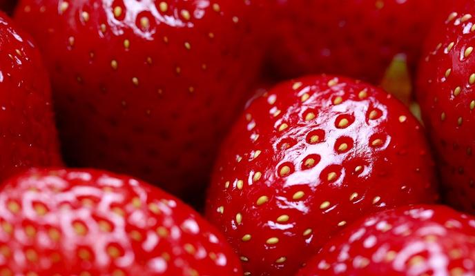 Bitrix 96297: strawberries_4159028_1280.jpg