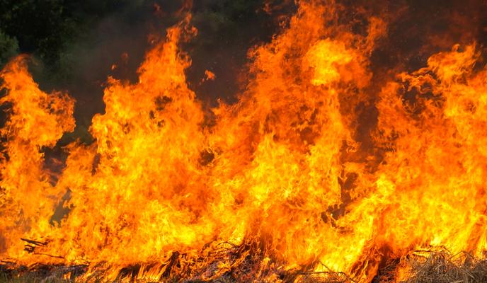 Bitrix 182964: stubble_burning.jpg