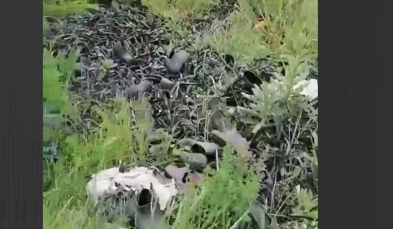 Bitrix 134296: svalka.jpg