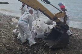 Ликвидация разлива нефти в Туапсе: собрано более 32 тысяч кубометров загрязнений