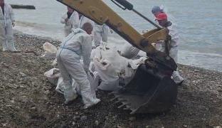 Ликвидация разлива нефти в Туапсе: собрано более 32 тысяч кубометров загрязнений