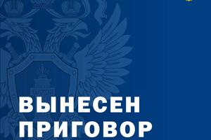 Жительница Кубани получила 13 лет за переводы в пользу ВСУ