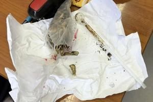 У пассажира в Адлере изъяли 13 граммов грибов с галлюциногеном