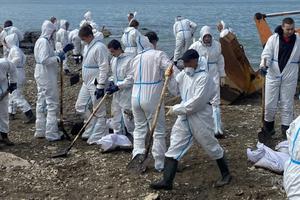 В Туапсе вывезли 19 тысяч кубометров загрязненного мазутом грунта