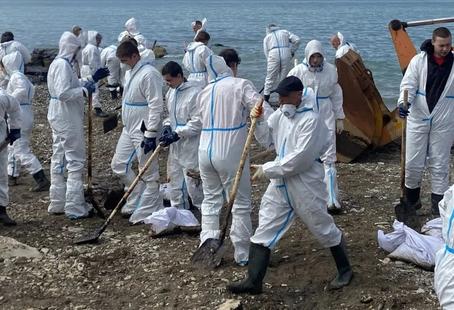 В Туапсе вывезли 19 тысяч кубометров загрязненного мазутом грунта