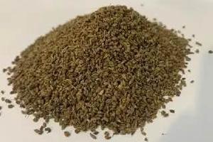 Партия семян петрушки из Италии задержана на Кубани из-за опасной бактерии